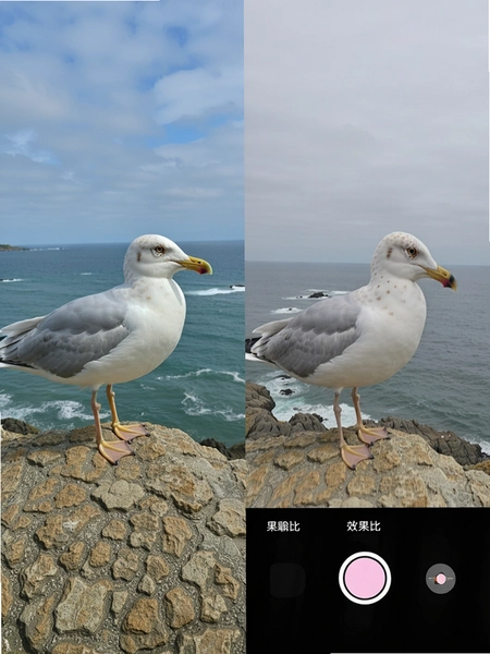 ��Ÿ�����������������Ч���Ա�ͼ