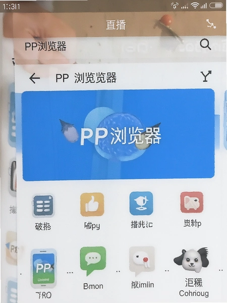 PP�������ҳ������Ԥ��ͼ