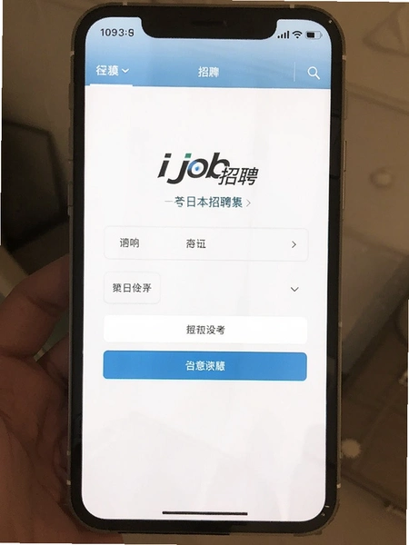 ijob�ձ���Ƹ��������ҳ��