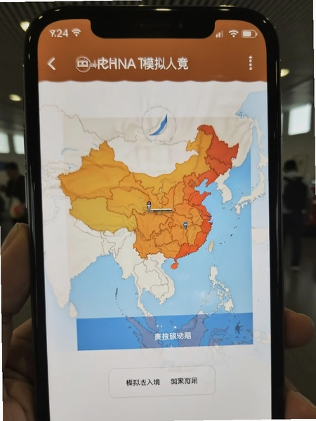 China Travel 模拟入境结果页面示意图