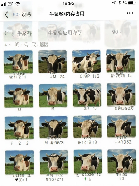 牛聚客应用内存占用截图