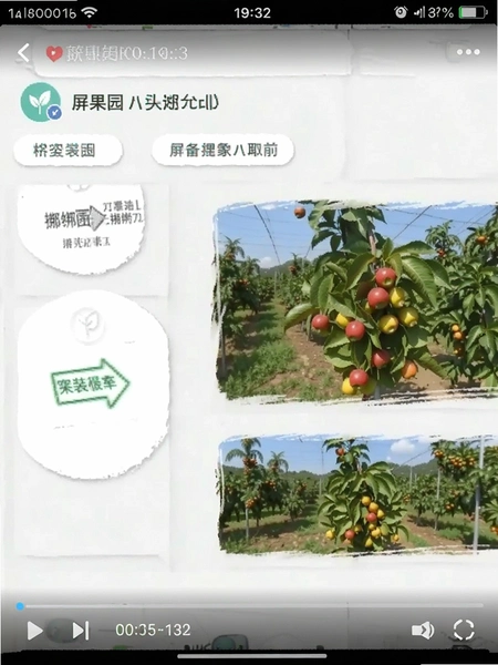屏果园安装界面无捆绑截图