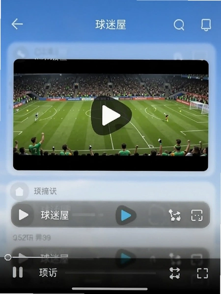 ������app��Ƶ�������Ž���