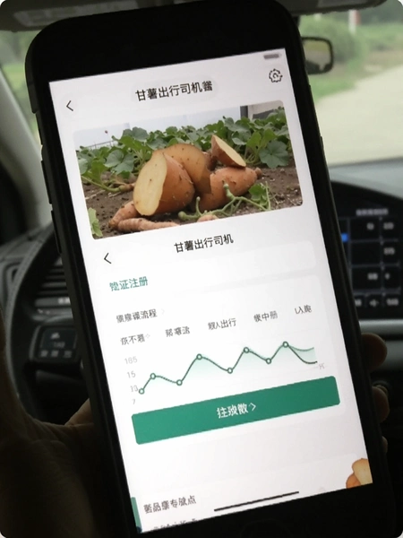 甘薯出行司机端注册审核流程界面截图