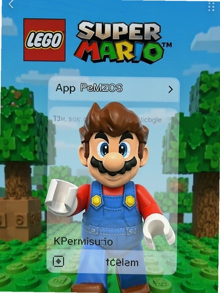 LEGO Super MarioAppȨ�����ý���