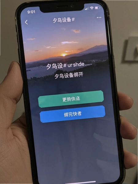 Ϧ���豸�󶨲�������