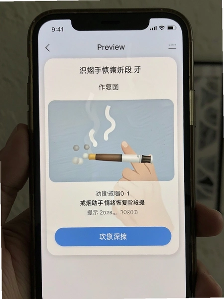 �������������ָ��׶���ʾ����Ԥ��ͼ