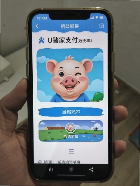 U������֧����ʽѡ�����