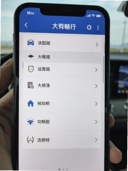 大有畅行设置界面功能列表