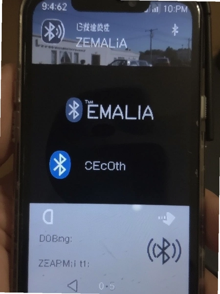 ZEMALIA�������ӽ����ͼ