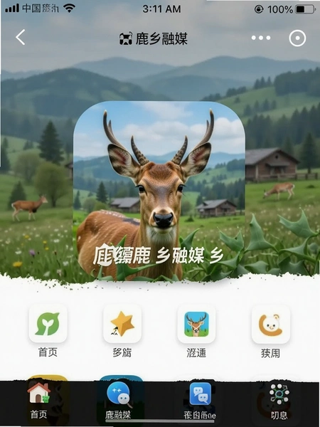 ¹����ýapp��ҳ���ܽ�ͼ