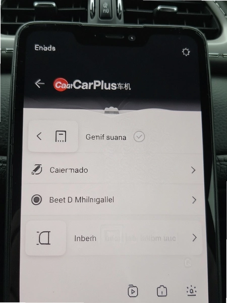 CarPlus�����������������ý���