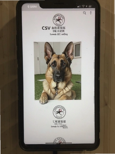 CSV�¹�����ȮѪͳ��֤���̽�ͼ