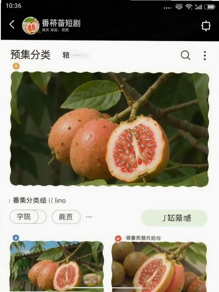��ʯ��̾� �缯����ҳ��Ԥ��ͼ