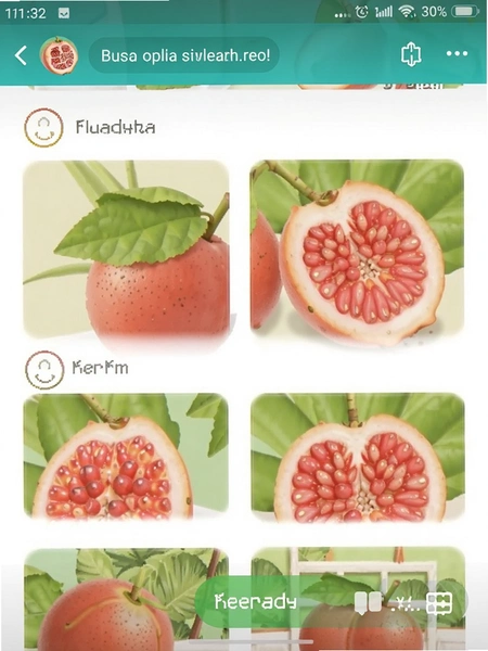 ��ʯ��̾� ���������ͼ