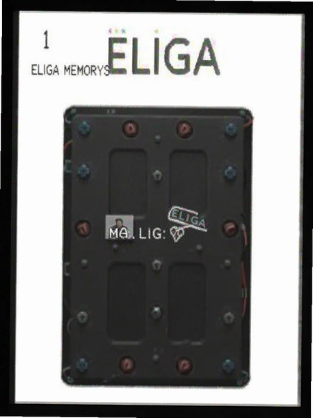 ELIGA内存占用截图