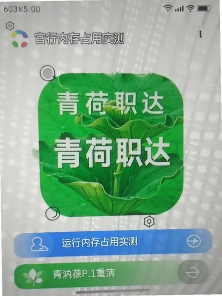 ���ְ��app�ٷ��������ڴ�ռ��ʵ��ͼ