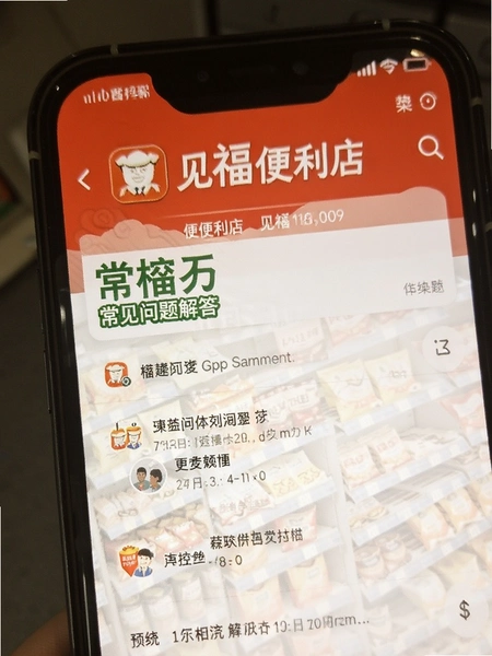 ����������APP�������������