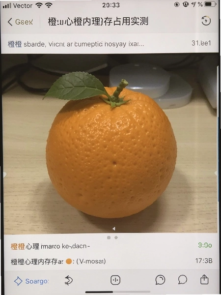 �ȳ������ڴ�ռ��ʵ���ͼ