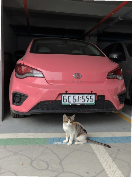 Сè�����޸�ͣ��֧�ֳ���