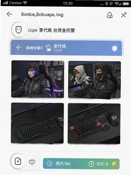������ƽ̨�ʽ��йܽ����ͼ