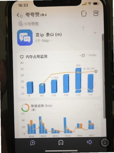 �����app�ڴ�ռ�ü�����ݽ�ͼ