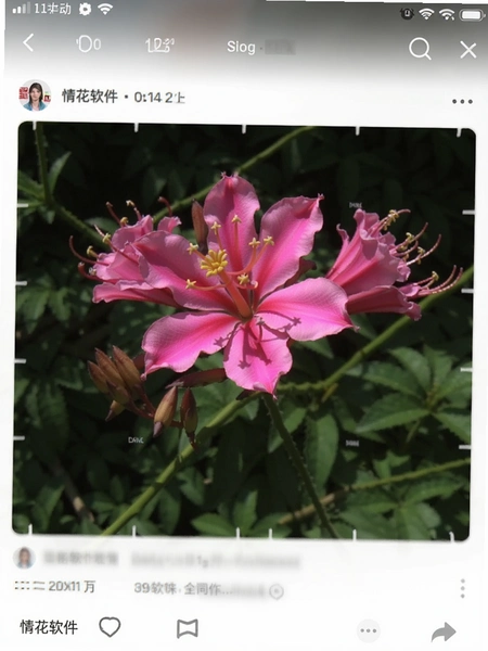�黨��������ҳ��̬��ͼ