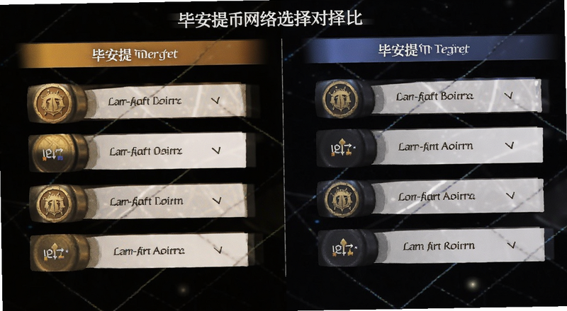 毕安提币网络选择对比图