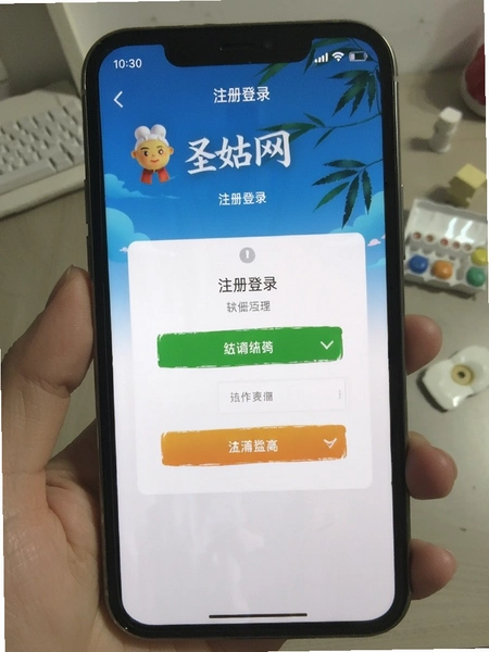 ʥ����APPע���¼�����ͼ �ֻ���Ļչʾ��֤������ҳ��