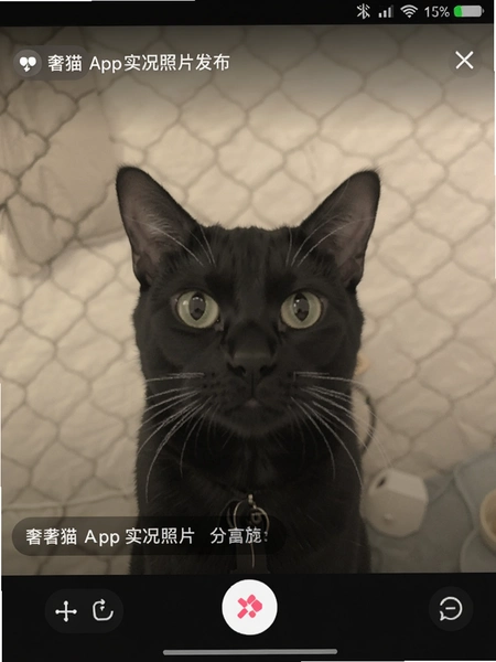 ��èAppʵ����Ƭ���������ͼ
