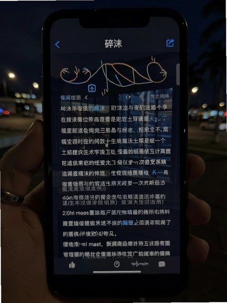 碎沫夜间模式阅读界面预览图