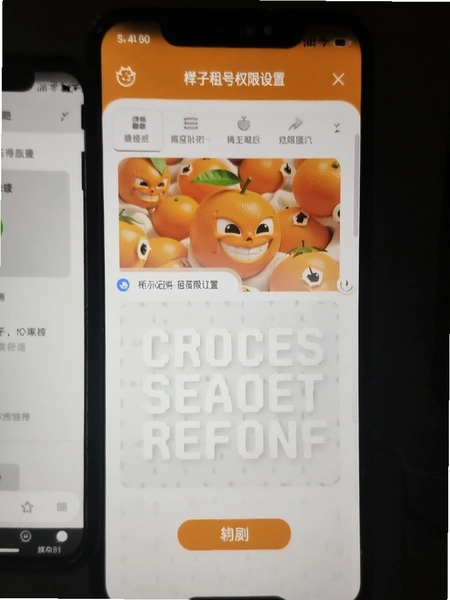 �������Ȩ�����ý���