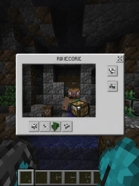 �ҵ�������³�ff���ײ˵��������°�(Minecraft Dungeons)��ͼ