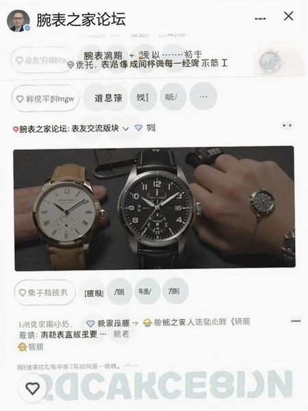 腕表之家论坛表友交流版块截图