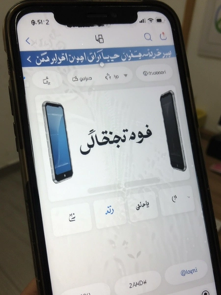 ��˹�﷭��ͨ ���ַ����������չʾͼ