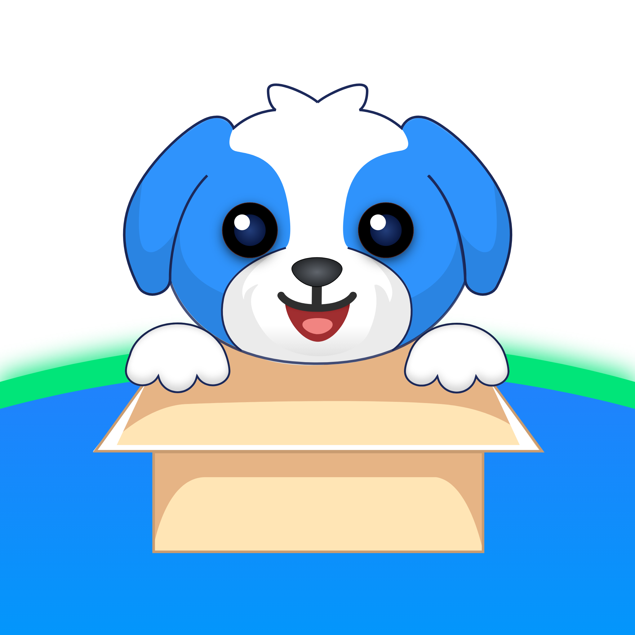 �ʹﹷ�ʹﹷ������v3.1.6