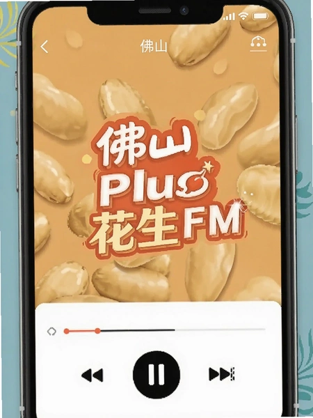 ��ɽPlus����FM��Ƶ���Ž���