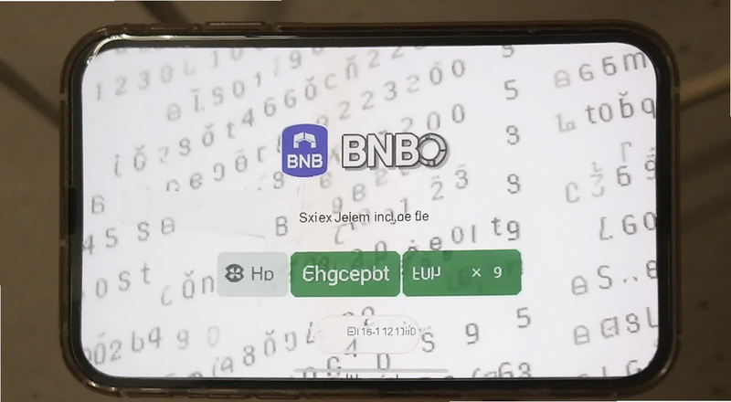 新手在手机上操作购买BNB的步骤截图预览图