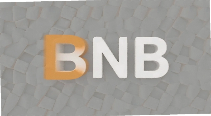 BNB���ںϷ��� �����û��������BNB 2025�������߽��