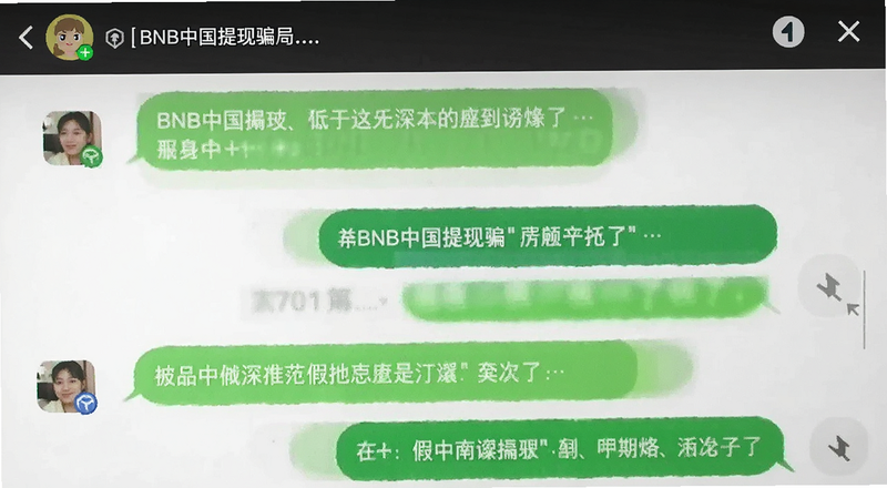 用户与假平台客服聊天记录截图|BNB中国提现骗局