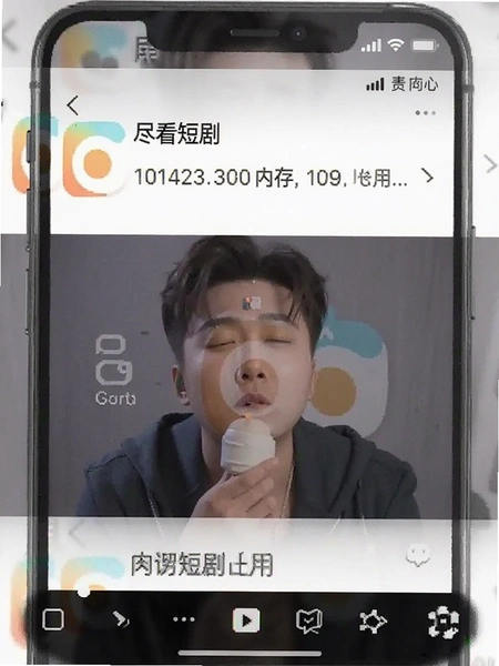 �����̾�app�ڴ�ռ�ý�ͼ