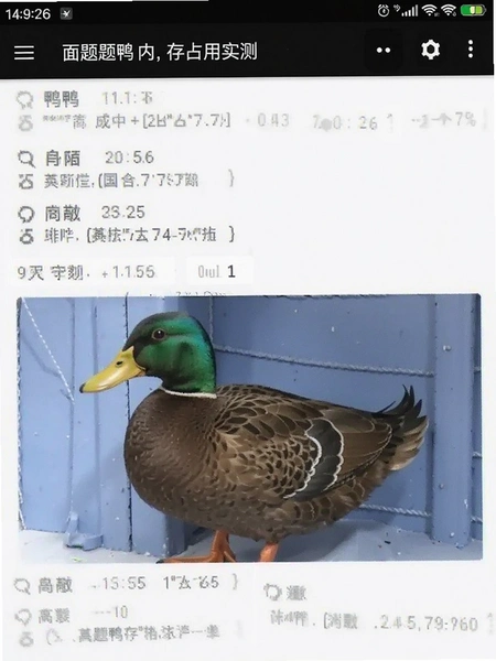 ����Ѽ�ڴ�ռ��ʵ���ͼ