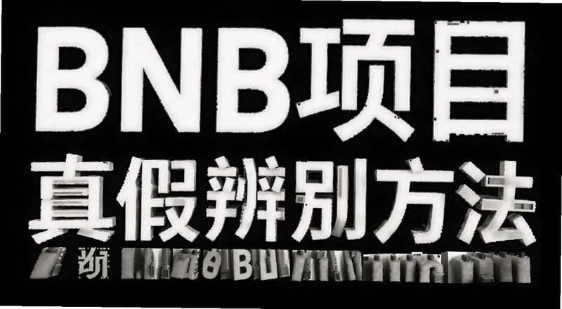 BNB��Ŀ��ٱ�𷽷�Ԥ��ͼ