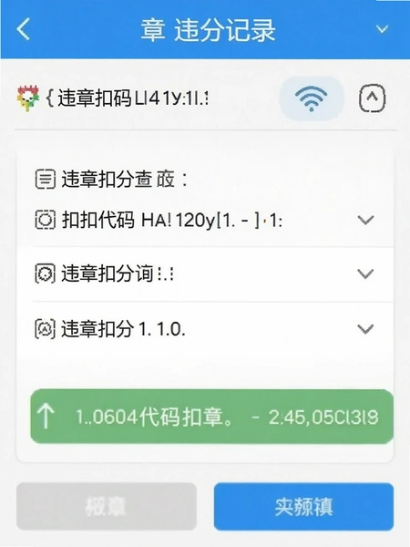 违章扣分记录违章代码查询界面