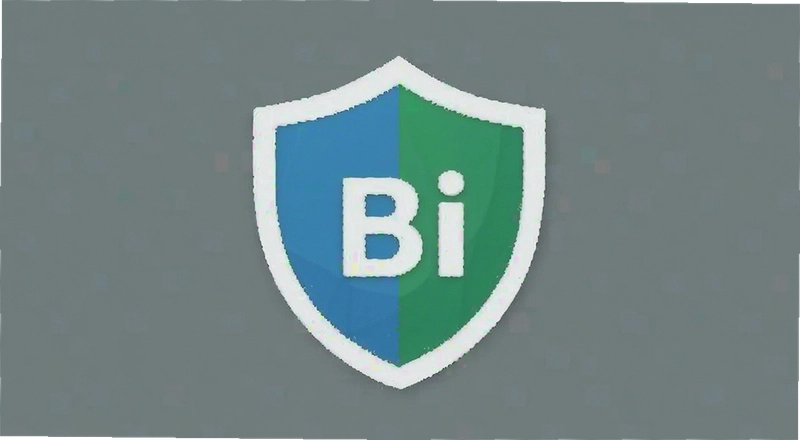 BI������ȫ��Ƚ����볣�����ʽ��