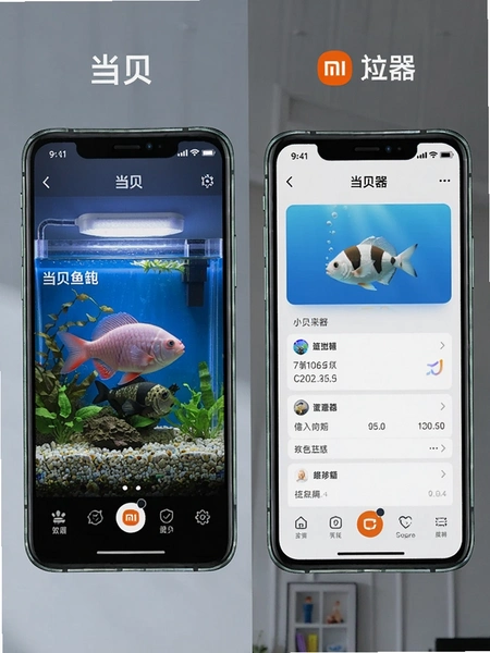 ������׺�С�����App����Ա�