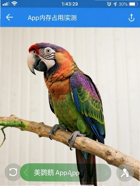 ������App�ڴ�ռ��ʵ���ͼ