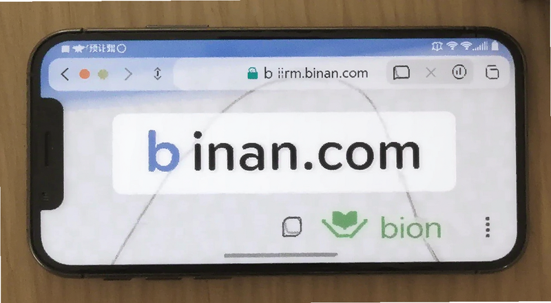 手机浏览器输入binan.com访问步骤预览图