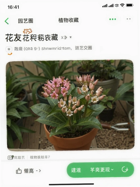 ԰��ȦAPP���ѷ���ֲ���ղؽ���
