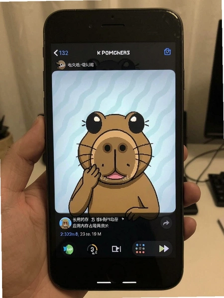 ��Ƥ����Ӧ���ڴ�ռ��ʵ���ͼ